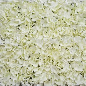 Beautiful white flower wall backdrop, perfect for weddings and special events.